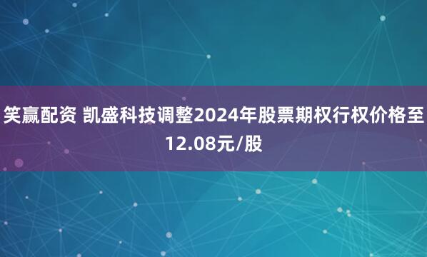 笑赢配资 凯盛科技调整2024年股票期权行权价格至12.08元/股
